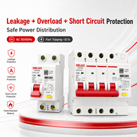 DELIXI DZ47sLES RCBO MCB RCCB Disjoncteur différentiel 1P+N 2P 3P 4P pour la distribution électrique
