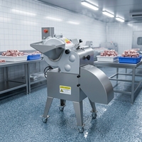 Elektrischer Gemüseschneider aus Edelstahl mit 1500W Motor, 4mm Zuckerfrucht-Würfelmaschine, Getrocknete Feigen Würfelschneidemaschine, Marke NP