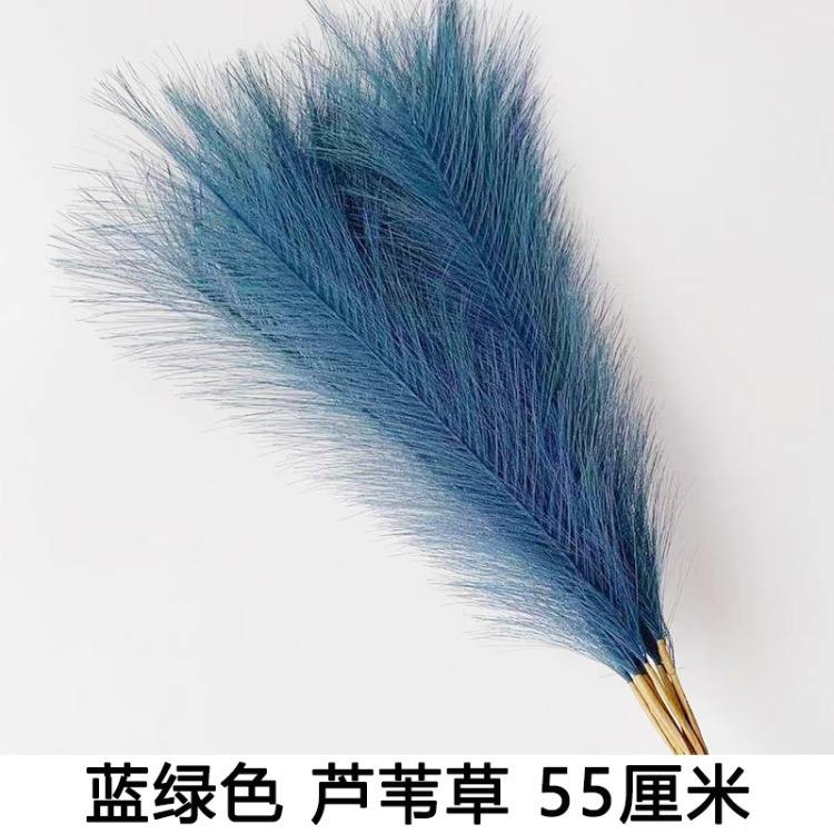Hierba de caña azul verdosa de 55 cm, 10 ramas.