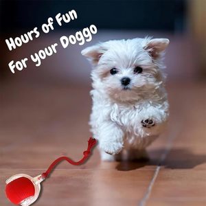 Vente flash Nouveau USB 360 °   Jouets interactifs intelligents pour chats, balle mobile automatique, jouet pour chien, balle de stimulation, jouets pour chatons à rotation automatique - Product Image 2