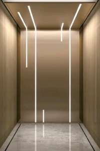 Ascensor Residencial Pequeño de Acero con Acabado Dorado Rosa, Fabricante Chino, para Venta al por Mayor - Product Image 6