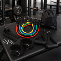 Bandes de Résistance avec Poignées, Ensemble de 11 Pièces pour Entraînement à Domicile, Musculation, Thérapie Physique, Hommes et Femmes, OEM