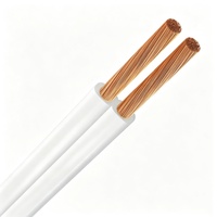 Cable Plano Aislado SPT en Oferta para Ecuador y México, SPT1 SPT2 2*10AWG, Cobre Trenzado Paralelo 105C, Cable de Extensión Doméstico