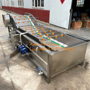 Tự động 1000 kg/giờ rau bina & Apple Máy làm sạch không khí bong bóng loại-cho Trái Cây Đậu Tương & nước nguyên liệu - Product Image 3