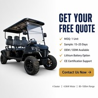 Carrito de Golf Eléctrico de 4 Plazas, Motor de CA de 4.0kW, 60V 100Ah, Negro, Vehículo Utilitario Todoterreno, OEM ODM
