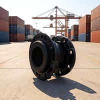 Compensateur en caoutchouc EPDM à double sphère, 8 pouces, PN16, type à raccord rapide, pour système d'irrigation, directement de l'usine