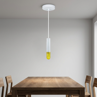 Lámparas Colgantes LED Decorativas Personalizadas de 220V con Bola de Plástico G9 para Comedor y Dormitorio