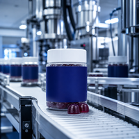 Compléments alimentaires multivitaminés pour hommes sous marque privée – Comprimés gommeux quotidiens – Formule personnalisée OEM/ODM – Vente en gros
