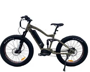 Custom oem 26 Inch 48V 1000W Bafang Mid Drive Mountain Electric Bicycle Road Bike Mid Motor Ebike Full Suspension