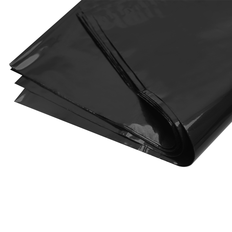 สีดำเงา