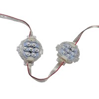 RGB IP67 Impermeable LED Pixel Light Nuevas luces de punto al aire libre RGBW Emisión Plástico rojo para el paisaje del parque temático del Recinto Ferial
