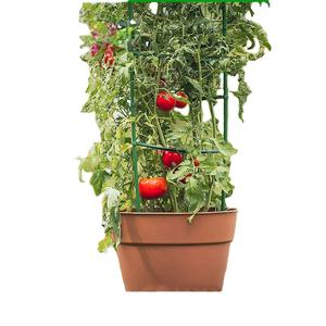 Marco de escalada al por mayor OEM ODM para plantas en maceta, puerta de cerca de tomate de tendencia caliente para patios y jardines, enrejado y puertas de esgrima - Product Image 5