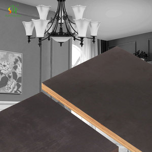 1250mm x 2500mm Feuille de contreplaqué d'architecture d'aviation d'eucalyptus noir Panneau de bois de placage laminé marin - Product Image 1