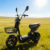 Vélo électrique Falcon 351-500W avec moteur arrière, batterie plomb-acide 48V 480Wh, cadre en acier carbone, freins à disque avant/freins à tambour arrière, 3 vitesses, roues de 14 pouces