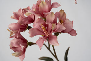 87cm Lilas Ours Fleur Artificielle Simple-Branche Bord Brûlé pour la Graduation Nouvel An Fête des Pères Fête des Mères Pâques - Product Image 4