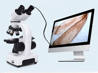 Microscope binoculaire numérique USB à LED avec caméra oculaire à mise au point automatique pour laboratoire scolaire, 1080P, garantie 1 an, IP54