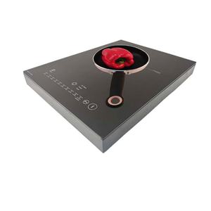 Cuisinière à induction pour ustensiles magnétiques - Product Image 1