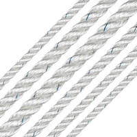 Fabricant de cordes RIOOP – Ligne d'amarrage torsadée à 3 brins en nylon/polyester la plus vendue avec œillet en nylon pour l'amarrage