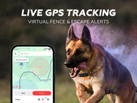 Rastreador GPS Avanzado para Perros con Seguimiento 24/7, Alcance Ilimitado, Geocercas, Recordatorios, Datos de Actividad y Salud, Diagnóstico por IA y Correa Larga de Silicona