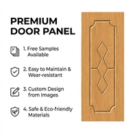 Panneau de porte moderne en PVC, panneau de porte épaissi, isolation phonique silencieuse, panneau de porte à réduction de bruit ultra-élevée, garantie 1 an
