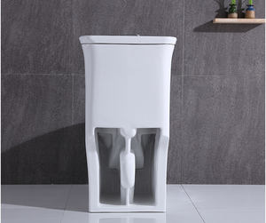 WC monobloc en céramique pour salle de bain, style Amérique latine - Product Image 6