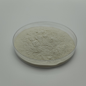 Bột Trắng 9012 bột Chitosan mật độ cao km với nhiều chức năng - Product Image 5