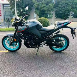 High-Performance 321cc Water-Cooled Four-Stroke DOHC Four-Valve Inline-Twin Engine Sportbike for City and Highway Riding - Product Image 5