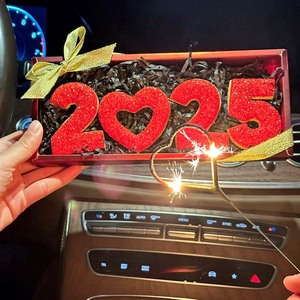 2025 Super Flash Atmosphere Red New Year Frosting Sweet Bulk Biscuit Set Regalo PARA EL Festival de Primavera - Product Image 3