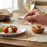 Cure-dents en bambou certifiés FSC, qualité alimentaire, avec étui portable pour restaurant, hôtel, usage domestique