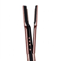 Sèche-cheveux et lisseur 2-en-1 OEM avec support pour logo personnalisé