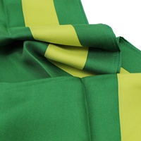 Écharpe longue rayée jaune citron et verte en soie 100% personnalisée avec logo pour femmes, idéale pour les universités et les sororités – Vente en gros Chine