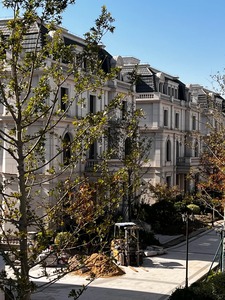 PAIA STONE - Revestimiento de Pared Exterior de Piedra Caliza Blanca Pulida de Estilo Retro Francés, Diseño de Villa Privada de Lujo <span class=keywords><strong>Fontainebleau</strong></span> - Product Image 6