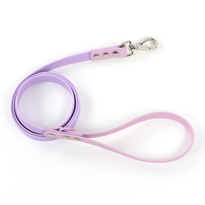 Personalizado ajustable a prueba de herrumbre personalizado grabado silicona PVC recubierto correas diseñador lujo perro Collar y correa conjunto - Product Image 1