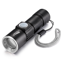 Lampu UV IPX5 tahan air untuk anjing, lampu UV 395nm led portabel 400nm Mini detektor untuk noda Urine hewan peliharaan