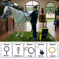Appareil de soulagement de la douleur, thérapie PEMF, Physio Magneto Pemf LOOP Pro Max, appareil de thérapie pour chevaux, physiothérapie