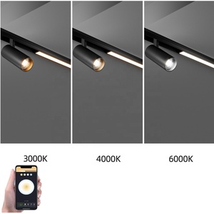 Hệ thống đèn ray từ tính <span class=keywords><strong>LED</strong></span> COB 48V âm trần, đèn thanh nhôm 20mm cho phòng khách, <span class=keywords><strong>3W</strong></span> 5W 7W, ray nam châm - Product Image 2