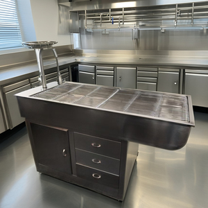 Table de traitement vétérinaire en acier inoxydable avec évier et armoire - Table vétérinaire humide pour cliniques et hôpitaux |   Fabricant Fournisseur - Product Image 3