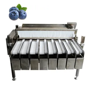 Full Automatic Blueberry Weighing Filling Machine Cherry Tomato Dates Grading Packing Machine