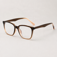 Lunettes décontractées rectangulaires en acétate pour adultes unisexes, montures optiques sportives en TR90, logo personnalisé, faible MOQ, réponse rapide