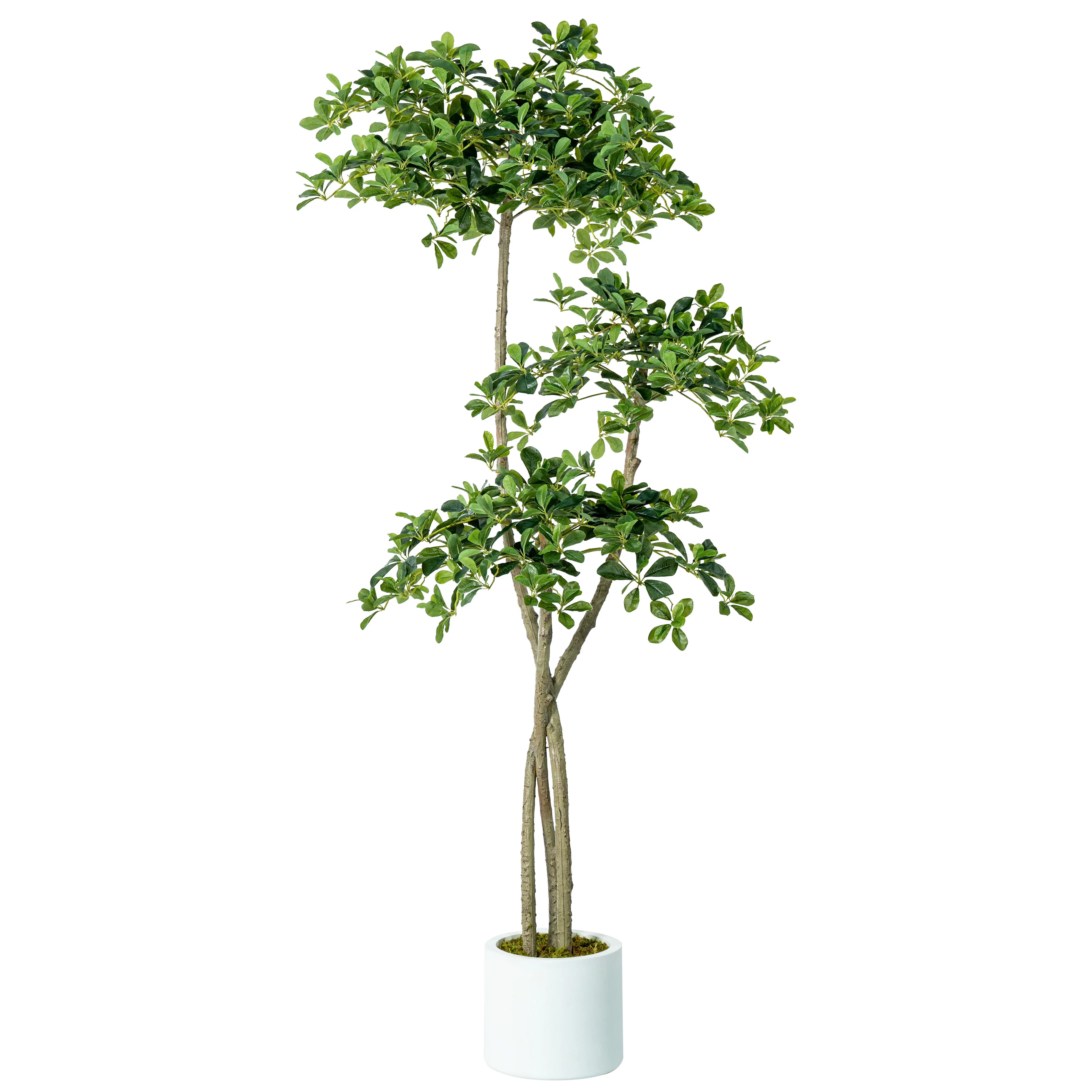 Factory hot sale artificial Black olive trees plant with fruits for indoor decoration Waterproof for Home Simulated plastics