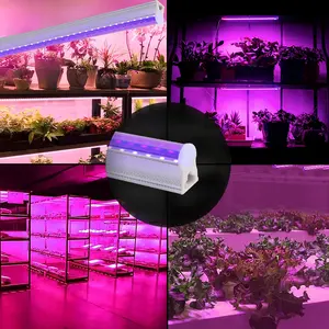 Iluminação led de alta qualidade, iluminação para crescimento de plantas, espectro completo, para área interna, para crescimento, com preço baixo