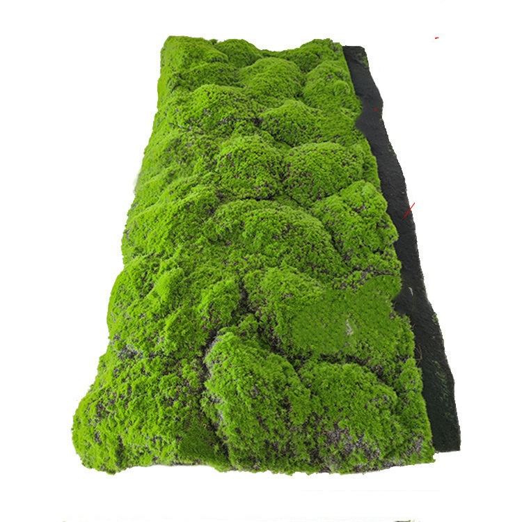 Green The black background is covered with moss