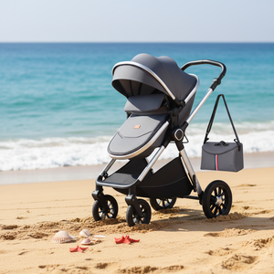 Cochecito de Bebé 2 en 1 Plegable y Portátil de Lujo, con Marco de Aleación de Aluminio Multifuncional, Canasta de Almacenamiento Grande - Product Image 1
