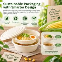 Bol à ramen jetable végétal avec couvercle et plateau intérieur, écologique, 1250 ml, pour pique-nique, fourni directement par l'usine