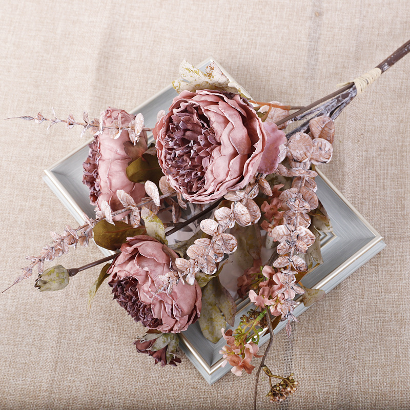 Western Peony Senrika [Autumn Purple]