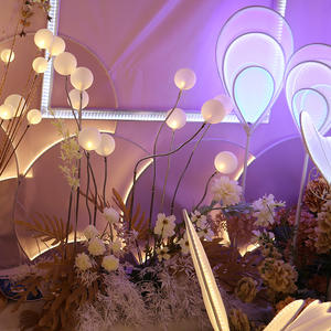 Ball prop bubble <span class=keywords><strong>bridal</strong></span> shower party 5 e 8 teste led light per wedding walkway road leading decoration - Product Image 3