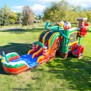 Nuevo Tobogán Inflable Combinado con Piscina de Agua, Diseño de Castillo Navideño, Doble Carril, Certificado CE, Capacidad de 1000 kg, Ecológico - Product Image 4