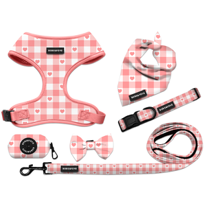 2025 Día de San Valentín Rosa multicolor personalizado impreso ajustable Ajuste rápido Premium Pull <span class=keywords><strong>Pet</strong></span> Dog arnés Correa conjunto de <span class=keywords><strong>collar</strong></span> de plomo - Product Image 2