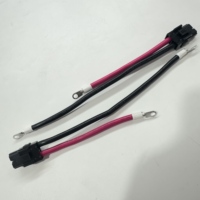 Cable Adaptador de Cargador para Coche con Control Remoto Personalizado