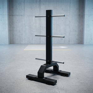 Support vertical pour plaques de musculation, organiseur de rangement pour plaques de poids, pour l'aménagement de salle de sport - Product Image 4